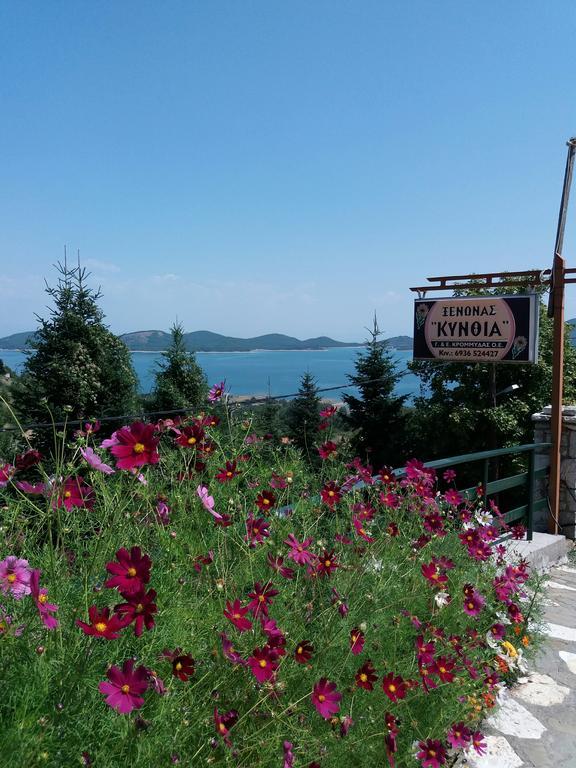 Kynthia Guesthouse Неохори Екстериор снимка