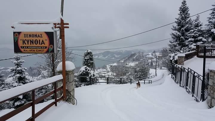 Kynthia Guesthouse Неохори Екстериор снимка
