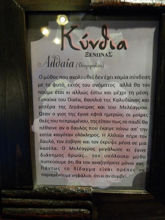 Kynthia Guesthouse Неохори Екстериор снимка