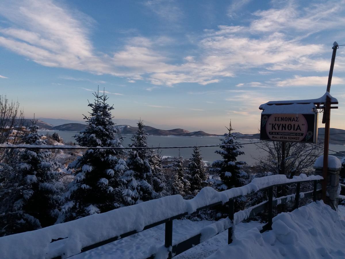 Kynthia Guesthouse Неохори Екстериор снимка